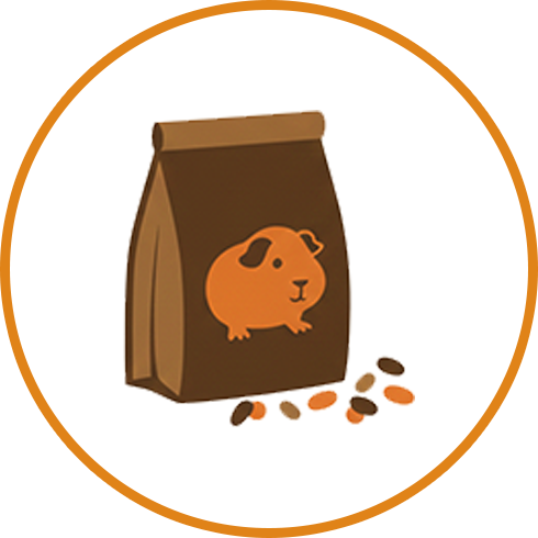 Rodents Food